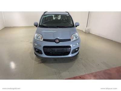 Fiat Panda Panda 1.2 Lounge                                                         Grigio usata Valsamoggia