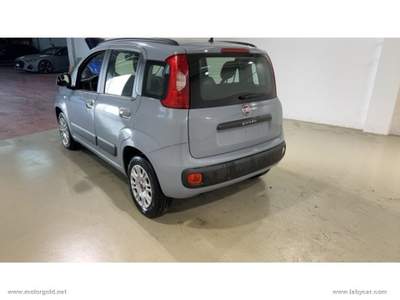 Fiat Panda Panda 1.2 Lounge                                                         Grigio usata Valsamoggia