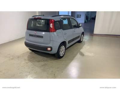 Fiat Panda Panda 1.2 Lounge                                                         Grigio usata Valsamoggia