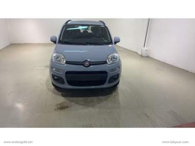 Fiat Panda Panda 1.2 Lounge                                                         Grigio usata Valsamoggia