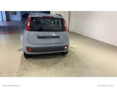 Fiat Panda Panda 1.2 Lounge                                                         Grigio usata Valsamoggia