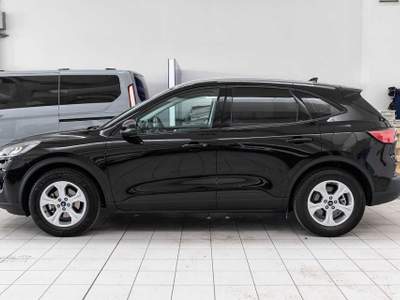Ford Kuga 1.5 EcoBlue 120 CV 2WD Connect Grigio usata Silea