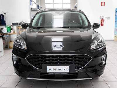 Ford Kuga 1.5 EcoBlue 120 CV 2WD Connect Grigio usata Silea