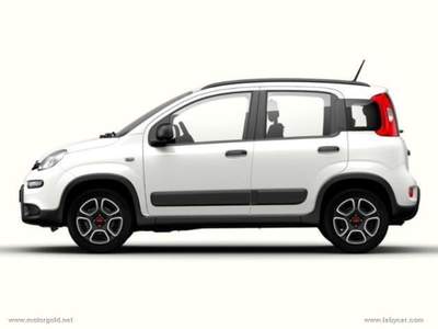 Fiat Panda Panda 1.0 FireFly S&S Hybrid                                                         Grigio usata Valsamoggia