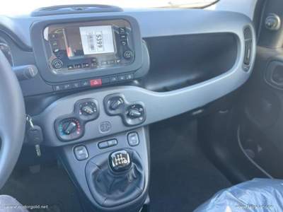 Fiat Panda Panda 1.0 FireFly S&S Hybrid City Life                                                         Grigio usata Valsamoggia