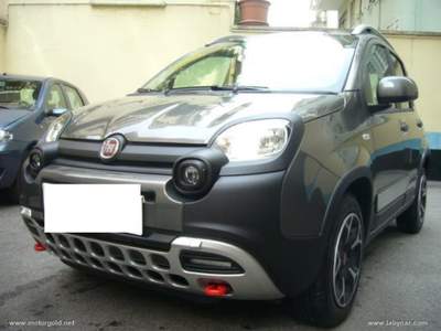 Fiat Panda Panda Cross 1.0 FireFly S&S Hybrid                                                         Grigio usata Valsamoggia