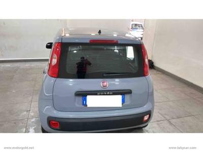 Fiat Panda Panda 1.2 Easy                                                         Grigio usata Valsamoggia