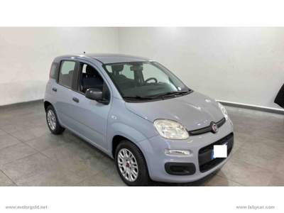 Fiat Panda Panda 1.2 Easy                                                         Grigio usata Valsamoggia