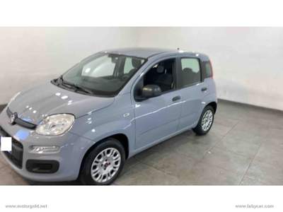 Fiat Panda Panda 1.2 Easy                                                         Grigio usata Valsamoggia