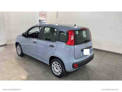 Fiat Panda Panda 1.2 Easy                                                         Grigio usata Valsamoggia