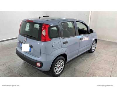 Fiat Panda Panda 1.2 Easy                                                         Grigio usata Valsamoggia