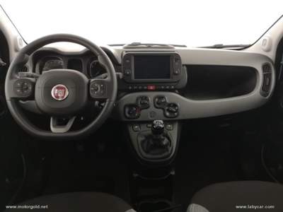 Fiat Panda Panda 1.0 FireFly S&S Hybrid City Life                                                         Bianco usata Valsamoggia