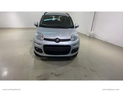 Fiat Panda Panda 1.2 Lounge                                                         Grigio usata Valsamoggia