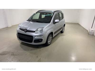 Fiat Panda Panda 1.2 Lounge                                                         Grigio usata Valsamoggia