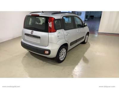 Fiat Panda Panda 1.2 Lounge                                                         Grigio usata Valsamoggia