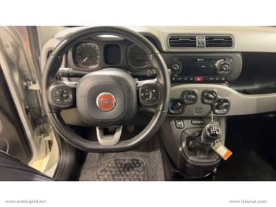 Fiat Panda Panda 1.2 Lounge                                                         Grigio usata Valsamoggia