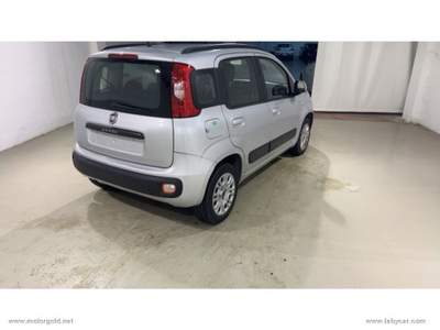 Fiat Panda Panda 1.2 Lounge                                                         Grigio usata Valsamoggia