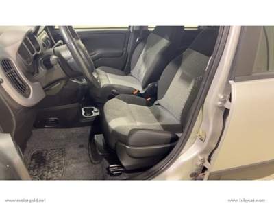 Fiat Panda Panda 1.2 Lounge                                                         Grigio usata Valsamoggia