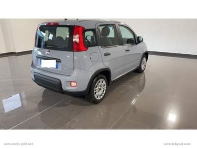 Fiat Panda Panda 1.0 FireFly S&S Hybrid                                                         Grigio usata Valsamoggia
