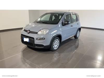 Fiat Panda Panda 1.0 FireFly S&S Hybrid                                                         Grigio usata Valsamoggia