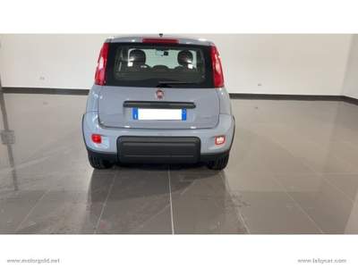 Fiat Panda Panda 1.0 FireFly S&S Hybrid                                                         Grigio usata Valsamoggia