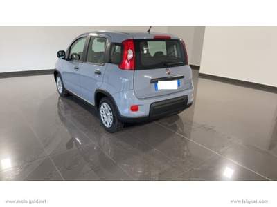 Fiat Panda Panda 1.0 FireFly S&S Hybrid                                                         Grigio usata Valsamoggia