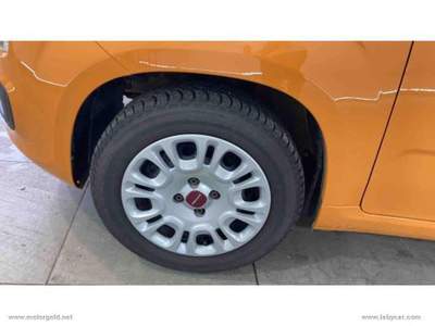 Fiat Panda Panda 1.2 Easy                                                         Arancione usata Valsamoggia