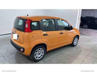 Fiat Panda Panda 1.2 Easy                                                         Arancione usata Valsamoggia