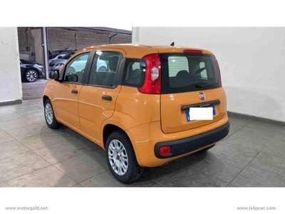 Fiat Panda Panda 1.2 Easy                                                         Arancione usata Valsamoggia