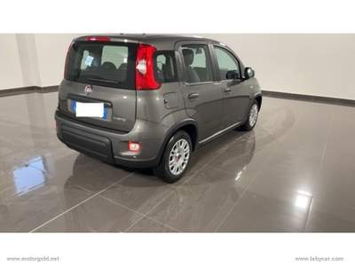 Fiat Panda Panda 1.0 FireFly S&S Hybrid                                                         Grigio usata Valsamoggia