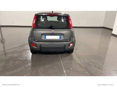 Fiat Panda Panda 1.0 FireFly S&S Hybrid                                                         Grigio usata Valsamoggia