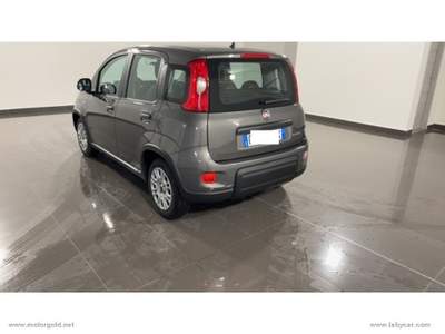 Fiat Panda Panda 1.0 FireFly S&S Hybrid                                                         Grigio usata Valsamoggia