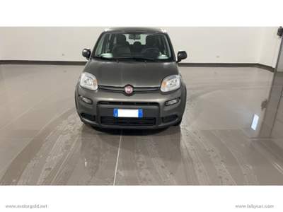 Fiat Panda Panda 1.0 FireFly S&S Hybrid                                                         Grigio usata Valsamoggia