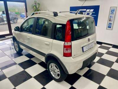 Fiat Panda 1.3 mjt 16v Climbing 4x4 75cv Bianco usata Paola