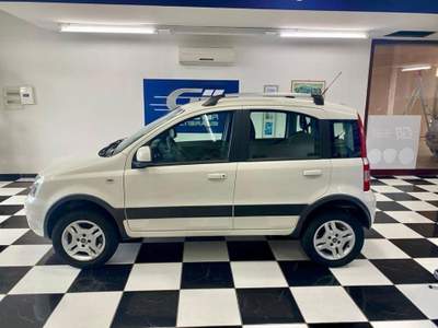 Fiat Panda 1.3 mjt 16v Climbing 4x4 75cv Bianco usata Paola