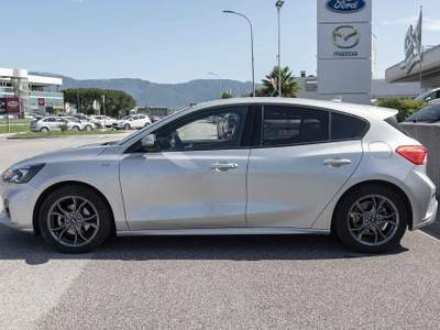 Ford Focus 1.0 EcoBoost 125 CV 5p. ST-Line Argento usata Silea
