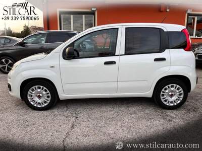 Fiat Panda 1.3 Autocarro Van 2 Posti Diesel Bianco usata Grottaminarda