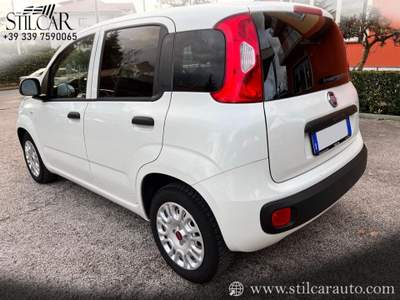 Fiat Panda 1.3 Autocarro Van 2 Posti Diesel Bianco usata Grottaminarda