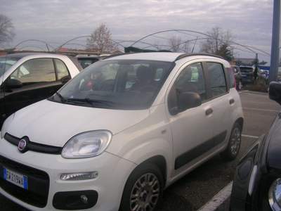 Fiat Panda 1.2 EasyPower Classic Grigio usata Subbiano