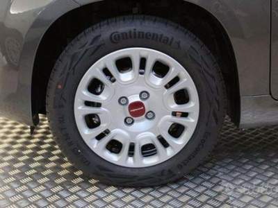Fiat Panda  Grigio usata Riccò del Golfo di Spezia