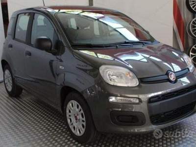 Fiat Panda  Grigio usata Riccò del Golfo di Spezia