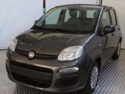 Fiat Panda  Grigio usata Riccò del Golfo di Spezia