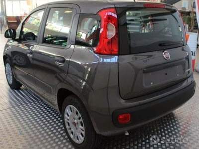 Fiat Panda  Grigio usata Riccò del Golfo di Spezia