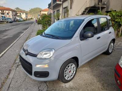 Fiat Panda  usata Riccò del Golfo di Spezia