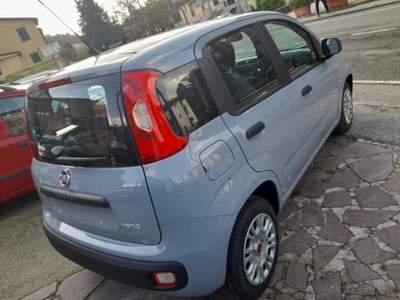 Fiat Panda  usata Riccò del Golfo di Spezia