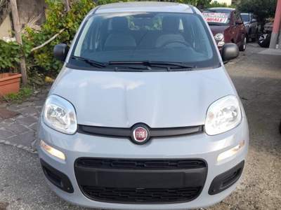 Fiat Panda  usata Riccò del Golfo di Spezia