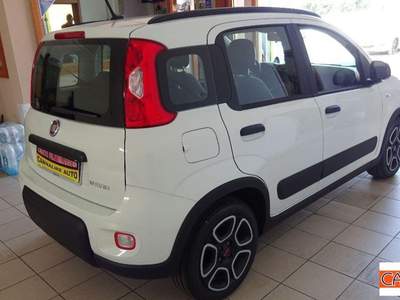 Fiat Panda  Bianco usata Brindisi