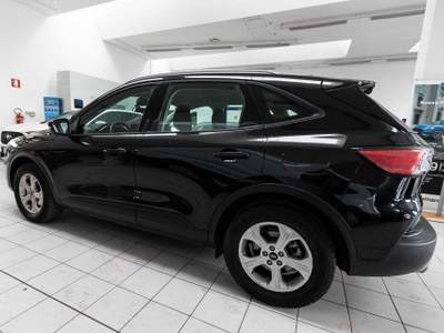Ford Kuga 1.5 EcoBlue 120 CV 2WD Connect Nero usata Silea