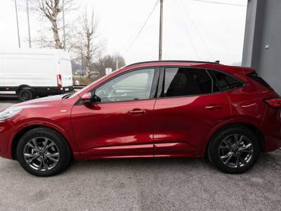 Ford Kuga 1.5 EcoBoost 150cv   2WD ST-Line X Rosso usata Silea