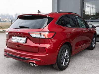 Ford Kuga 1.5 EcoBoost 150cv   2WD ST-Line X Rosso usata Silea